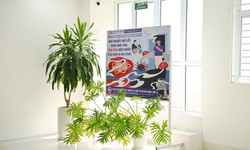Xanh – Sạch – Đẹp trong y tế phải được vận hành bằng cả một hệ thống