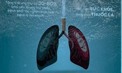 Cuộc thi viết “Phòng, chống tác hại của thuốc lá trong ngành Tòa án năm 2026”
