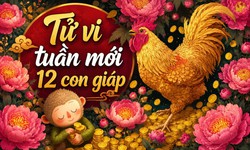 Tử vi tuần mới 12 con giáp từ 21-27/9: Hợi gặp trở ngại, Mùi nhiều thay đổi