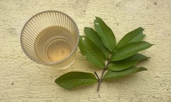 Bí quyết kiểm soát đường huyết tự nhiên nhờ thói quen uống nước lá ổi