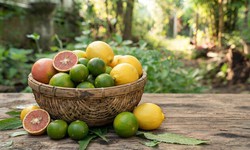 Chanh đào với chanh xanh, chanh vàng: Loại nào tốt hơn?