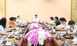 Rà soát dự thảo Luật An toàn thực phẩm (sửa đổi): Tăng hậu kiểm, quản lý theo nguy cơ