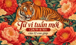 Tử vi tuần mới 12 con giáp từ 28/9-4/10: Tị trung bình, Tý cải thiện tài chính