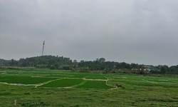 Điều kiện được bồi thường về đất khi Nhà nước thu hồi đất