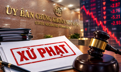 Công ty Cổ phần TIE bị phạt hơn 200 triệu đồng