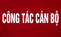 Thủ tướng Lê Minh Hưng điều động, bổ nhiệm loạt nhân sự cấp Thứ trưởng