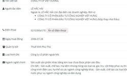 Công ty Cổ phần Việt Vương vi phạm chứng khoán