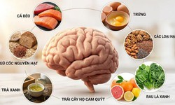 Dinh dưỡng đúng cách bảo vệ não bộ và cải thiện trí nhớ
