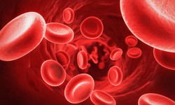 Thuốc điều trị đa hồng cầu nguyên phát