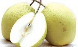 Ăn quả l&#234; c&#243; lợi cho sức khỏe