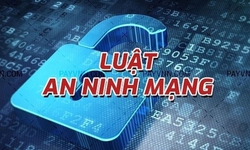 Nhiều Luật c&#243; hiệu lực thi h&#224;nh từ 1/1/2019