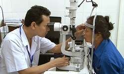Người đi t&#236;m lại nửa hồn thương đau