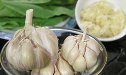 Trời r&#233;t, đừng qu&#234;n tỏi để l&#224;m đẹp
