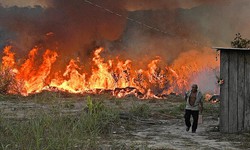 Ch&#225;y rừng Amazon gia tăng ở Brazil