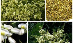 Nước uống v&#224; thuốc từ hoa h&#242;e