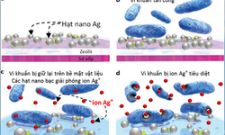 Chống nhiễm khuẩn bằng nano bạc