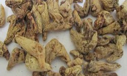 Bạch cập - Vị thuốc cầm máu, se mụn nhọt