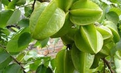 Lạm dụng thực phẩm - Nguy hiểm tiềm ẩn chưa được ch&#250; &#253;