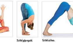 Tập luyện cải thiện chức năng hô hấp