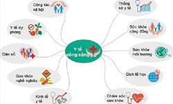 Những điều chưa biết về Y tế c&#244;ng cộng - khối ng&#224;nh y dược