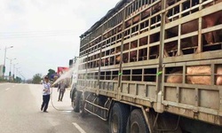 H&#224; Nội ph&#242;ng chống bệnh dịch tả lợn ch&#226;u Phi: sẽ xử l&#253; c&#225;n bộ lơ l&#224; để dịch l&#226;y lan diện rộng