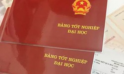Dừng hoạt động cấp chứng chỉ các cơ sở giáo dục không đủ điều kiện