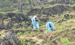 Kỳ t&#237;ch bản lĩnh VIệt Nam