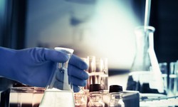 Chỉnh sửa gen hỗ trợ trị b&#233;o ph&#236;, đ&#225;i th&#225;o đường