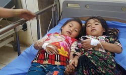 Cứu sống 2 b&#233; g&#225;i người M&#244;ng ăn nhầm l&#225; ng&#243;n