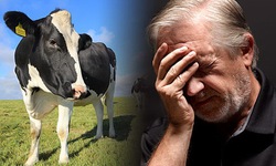 Những biều hiện tố bạn bị thiếu hụt canxi