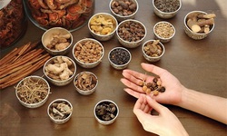 Thuốc ho từ dược liệu c&#243; an to&#224;n?