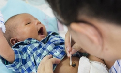 Đ&#244;i ba c&#226;u chuyện về chiếc rốn