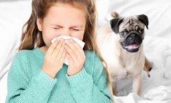 10 yếu tố khiến hen phế quản nặng l&#234;n