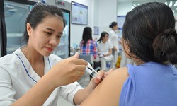 Th&#244;ng tin mới nhất về t&#236;nh h&#236;nh cung ứng vắc xin dại