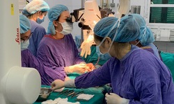 Thương t&#226;m b&#233; trai bị lột to&#224;n bộ dương vật khi tr&#232;o c&#226;y
