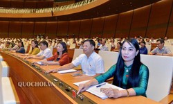 Th&#244;ng qua Nghị quyết th&#224;nh lập Đo&#224;n gi&#225;m s&#225;t “Việc thực hiện ch&#237;nh s&#225;ch, ph&#225;p luật về ph&#242;ng, chống x&#226;m hại trẻ em”