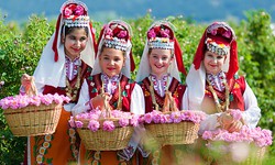 M&#249;ng 8 th&#225;ng 3, bạn c&#243; đi Lễ hội Hoa hồng ?