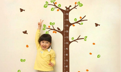 Trẻ thấp, kh&#244;ng tăng được chiều cao chỉ v&#236; sai lầm khi bổ sung dưỡng chất tăng chiều cao