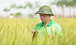 Doanh nh&#226;n Trần Mạnh B&#225;o: “Thiệt th&#242;i mấy t&#244;i cũng vẫn l&#224;m gạo sạch”