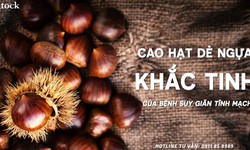 Cao hạt dẻ ngựa khắc t&#237;nh của bệnh suy gi&#227;n tĩnh mạch