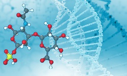 Chondroitin Sulfate là gì? Tại sao quan trọng với sụn khớp