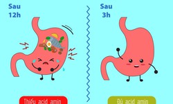 Trẻ bị đầy bụng kh&#243; ti&#234;u, chậm lớn bởi thiếu hụt … Acid amin