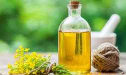 D&#249;ng dầu hạt cải Canola Harvest - xu hướng mới của người Việt