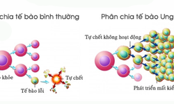 Hiểu đ&#250;ng về bệnh ung thư để c&#243; c&#225;ch điều trị tốt nhất