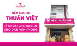 Nệm cao su gi&#250;p giảm nguy cơ mắc bệnh l&#253; về cột sống cho d&#226;n văn ph&#242;ng