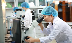 Phức hợp 3 nano thảo dược - Đột ph&#225; c&#244;ng nghệ Việt cho người bệnh tiểu đường