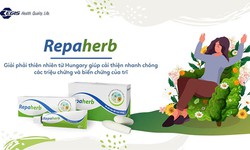 Ai l&#224; đối tượng dễ mắc bệnh trĩ nhiều nhất?