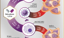 Beta-glucan tăng cường miễn dịch: vàng thau lẫn lộn che mắt người dùng