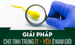 Giải ph&#225;p n&#224;o cho t&#236;nh trạng tinh tr&#249;ng &#237;t - yếu ở nam giới?