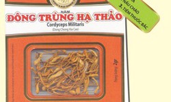 Tăng cường v&#224; n&#226;ng cao sức khỏe từ Đ&#244;ng tr&#249;ng hạ thảo